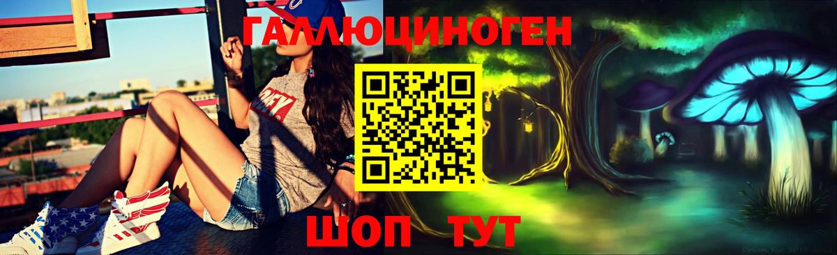 Усть-Джегута  Псилоцибиновые грибы Psilocybe  Вход с VPN  Псилоцибиновые грибы MAGIC MUSHROOMS 
